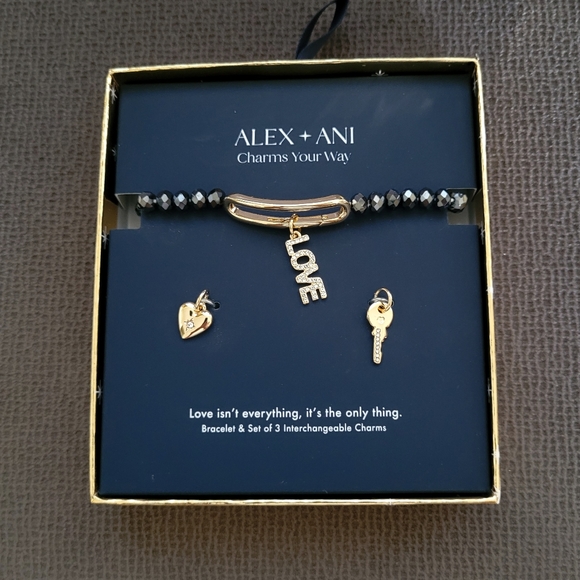 Alex and Ani "Love"❤️ Interchangeable🔄 Charm Stretch Bracelet - NIB - Picture 15 of 16
